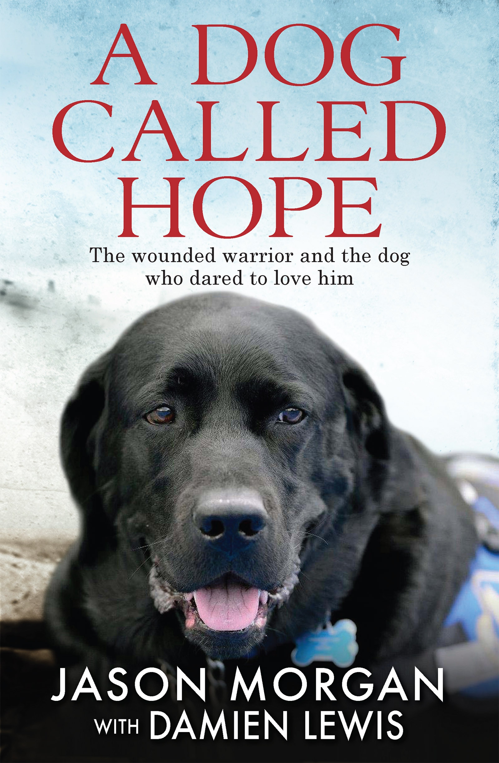 Called hope. Dog. Книги про лабрадоров. Аутсайдер книга про ретривера. A Dog Called Rod.