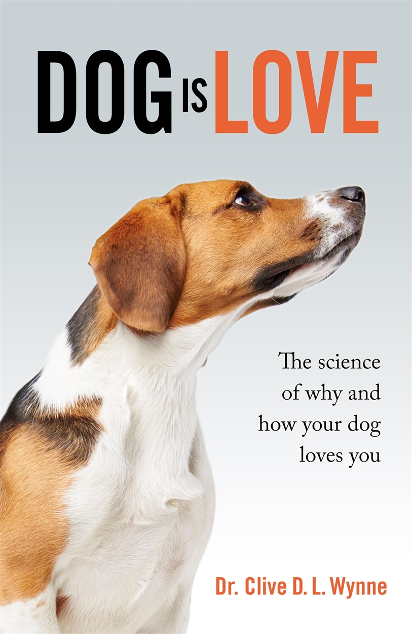 do your dogs really love you