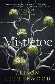 Mistletoe