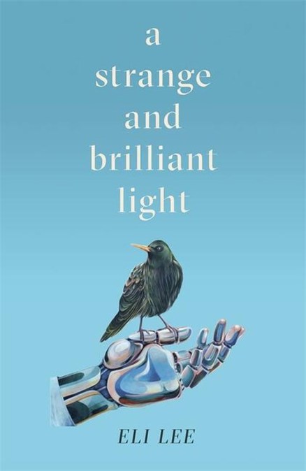 A Strange and Brilliant Light: Winner of the Writers’ Guild Best First Novel Award