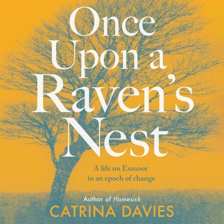 Once Upon a Raven’s Nest